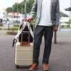 キャリーオン　イメージ